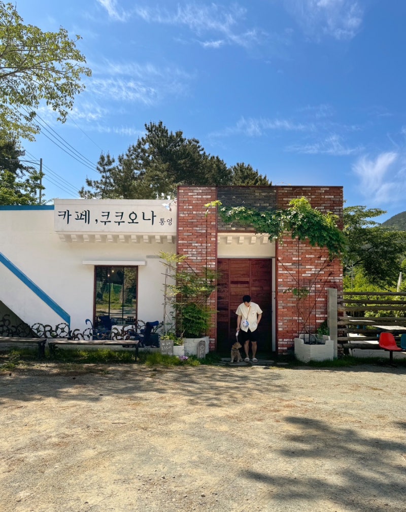 사진 2