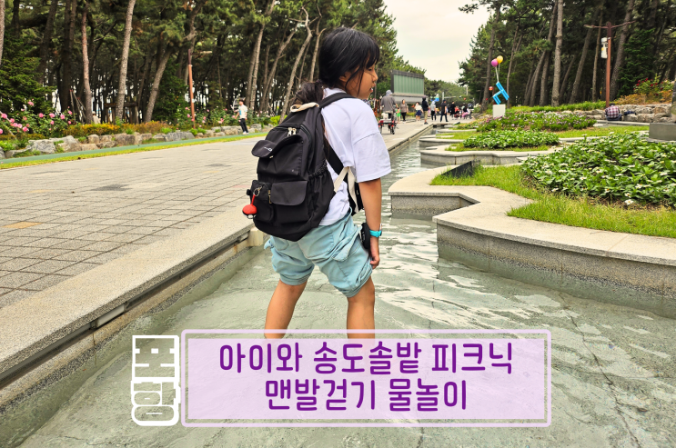  포항 송도솔밭 물놀이 아이와 피크닉 가볼만한 곳