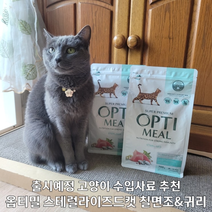  집고양이 사료 추천 옵티밀 면역강화 건식사료