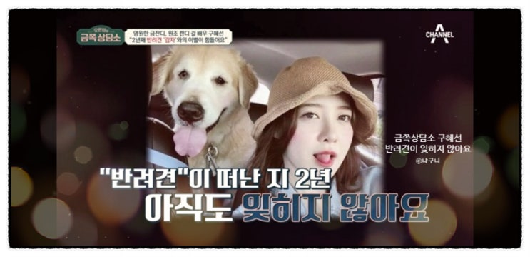금쪽상담소 <b>구혜선</b> 친구없다 눈물셀카의 진실