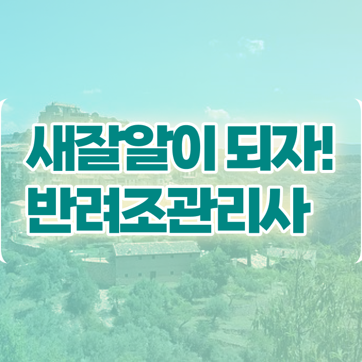  앵무새 키우기 , 반려조관리사 자격증 15일 만에 준비한 과정 체크해보세요