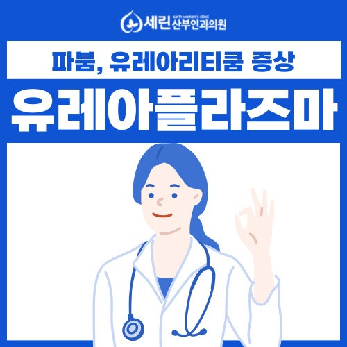 유레아플라즈마 파붐, 유레아리티쿰 질염 치료와 증상은?