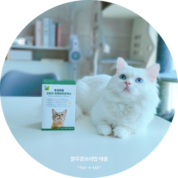  고양이 유산균 추천 유진바이옴 프로바이오틱스로 설사와 변비 걱정 덜었어요