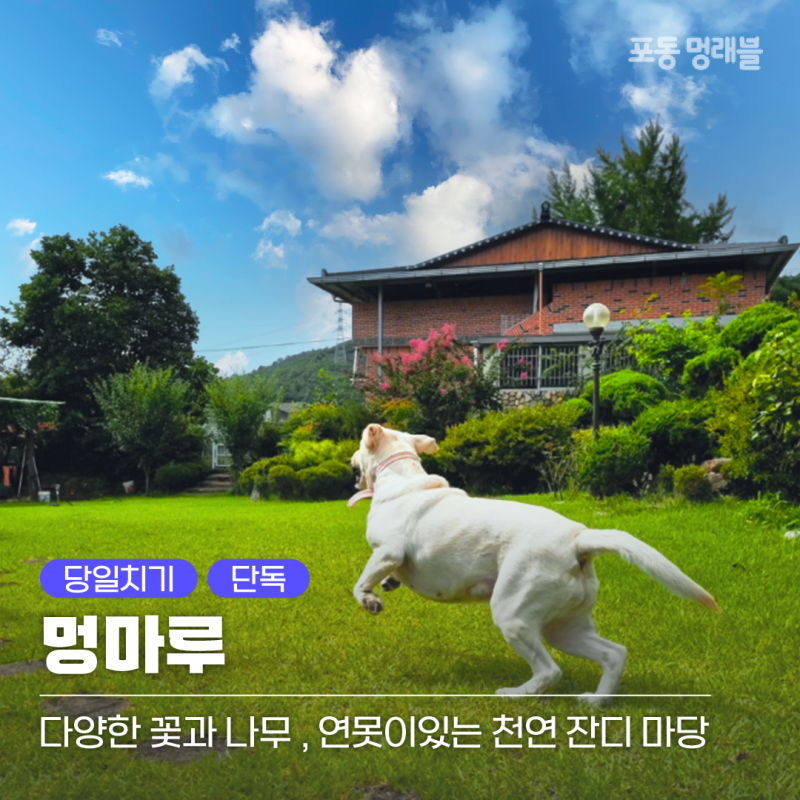 멍마루