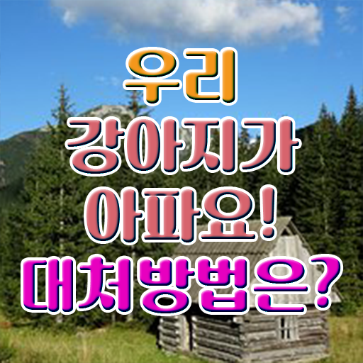  , 반려동물관리사 자격증 합격한 팁 확인하기