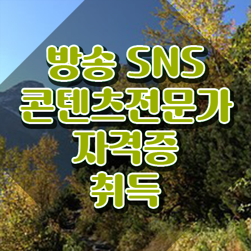  콘텐츠마케터채용 , 방송sns콘텐츠전문가 자격증 쉽고 빠르게 합격한 전략 , 향후 전망