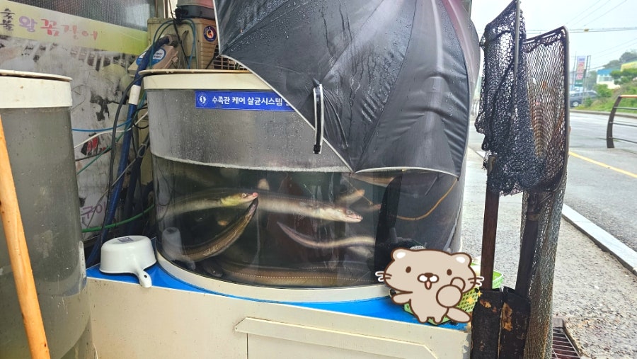 숯불왕꼼장어 사진 8