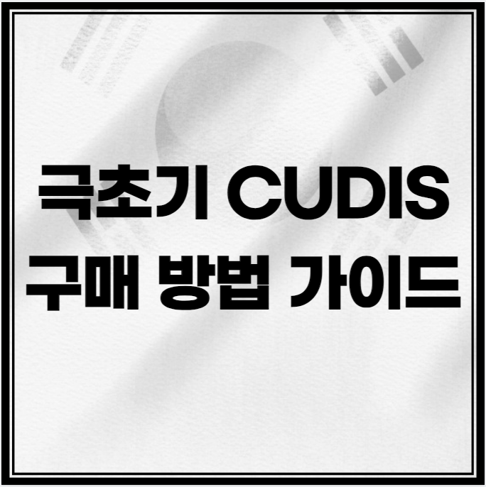 극초기 <b>솔라나 DEPIN</b> AI CUDIS 구매 방법