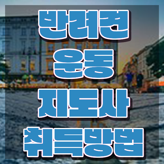 50대여자취업 , 반려견운동지도사 일하면서 편하게 준비하는 과정