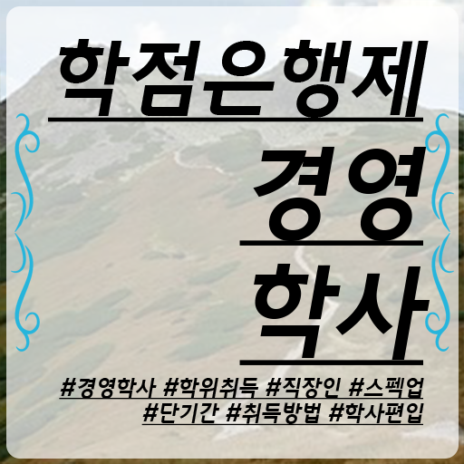  , 경영학과 혼자서 독학으로 준비했던 팁