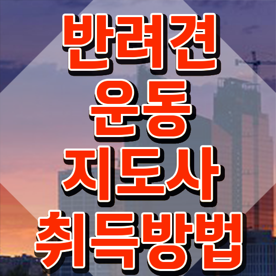  , 반려견운동지도사 인강만으로 직장인도 손쉽게 성공한 후기