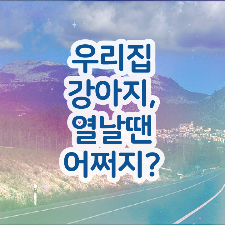  서울 반려동물의료비지원 , 반려동물관리사 자격증 온라인으로 학습한 후기 정보 필요하시죠