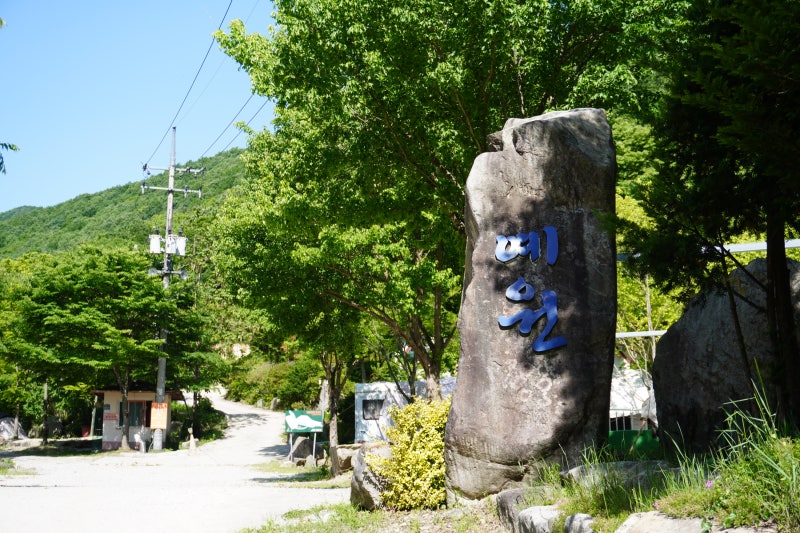 사진 6