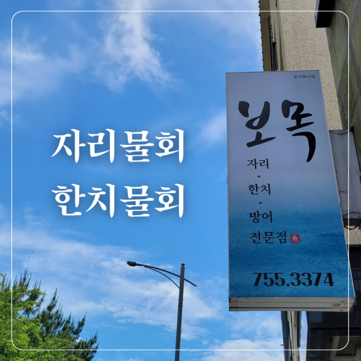  아라동 맛집 보목본점 제주 한치물회 자리물회 자리젓갈