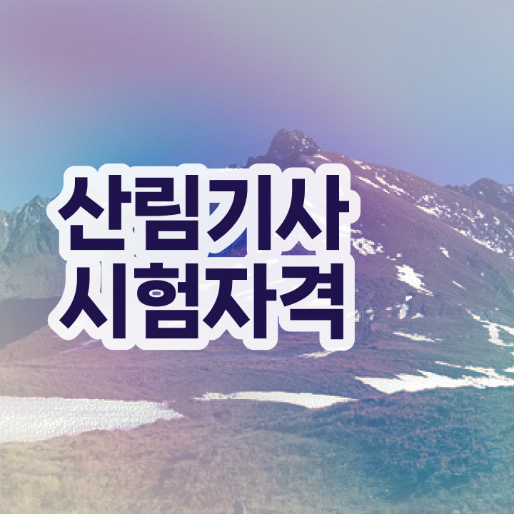 산림 기사교재 산림기사 응시자격 온라인 수업으로 단기간에 끝낸 비법