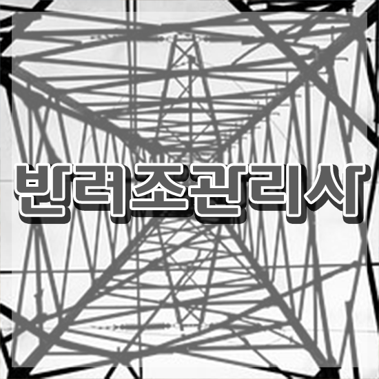  애완조 , 반려조관리사 자격증 20일 만에 시험준비 핵심 정보 정리