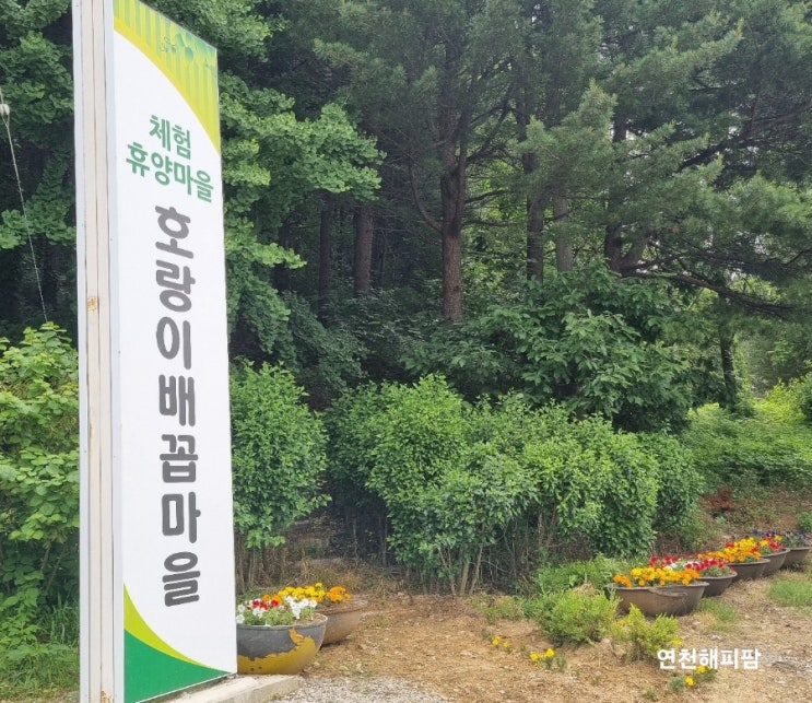  마을공동체활동 호랑이배꼽마을 부녀회 제초작업