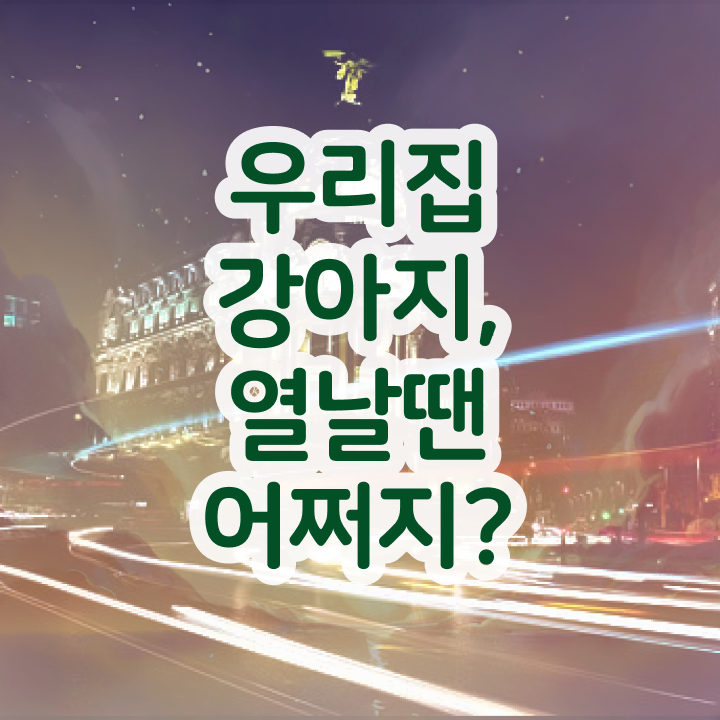  , 반려동물관리사 자격증 단기간에 취득했던 후기 , 고용 전망