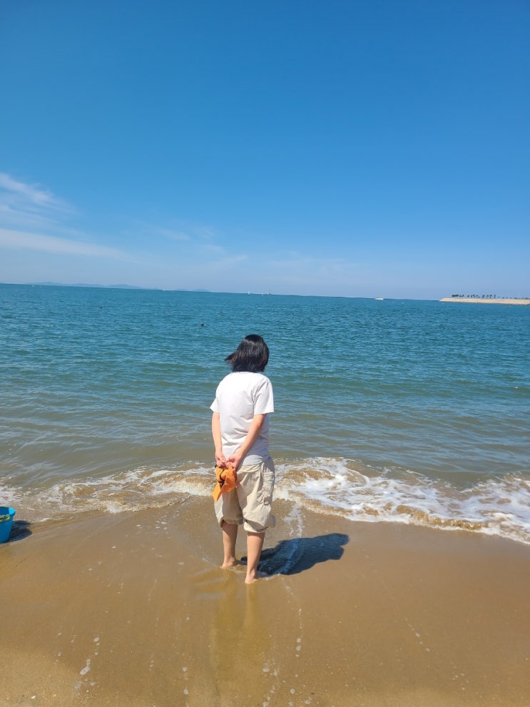  서울 근교 바다 :왕산해수욕장 6월인데 벌써부터 바다에 풍덩 하고 싶어지는데요 ️ 날씨 미세먼지 좋은 날