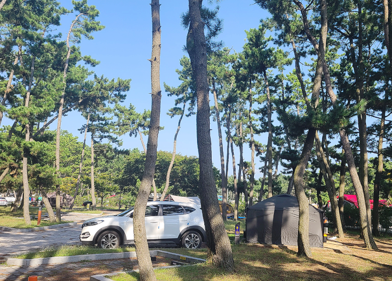 네이버 인플루언서 [네이버 인플루언서] 캠퍼도냥의 서해캠핑장