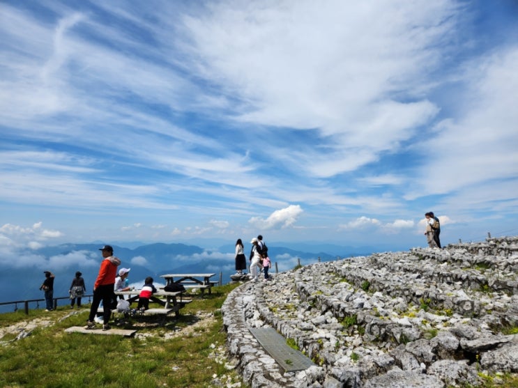  이부키산(伊吹山) 드라이브 웨이와 하이킹