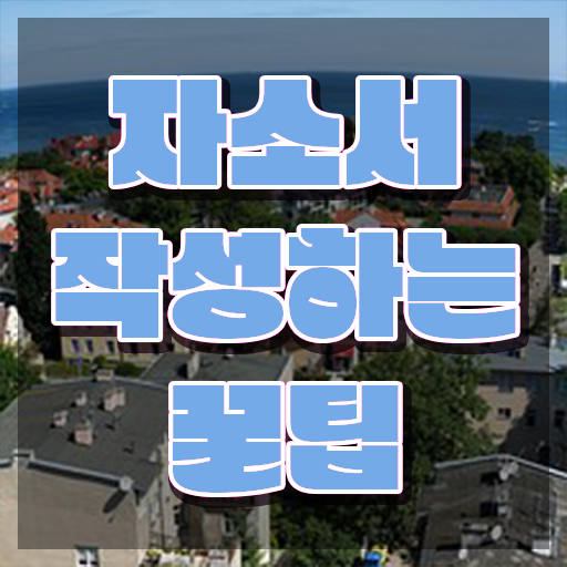  자소서 특기 , 자기소개서지도사 자격증 비용없이 온라인으로 준비한 방법 , 이후 전망