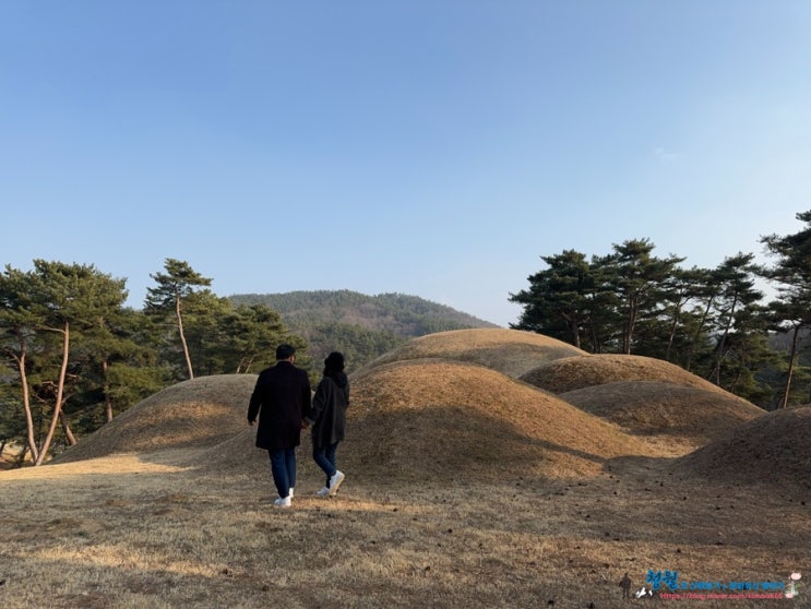   대가야 지배계층의 고분 고령 지산동 고분군, 문화유산 방문자 여권 투어 no.36 - 가야 문명의 길