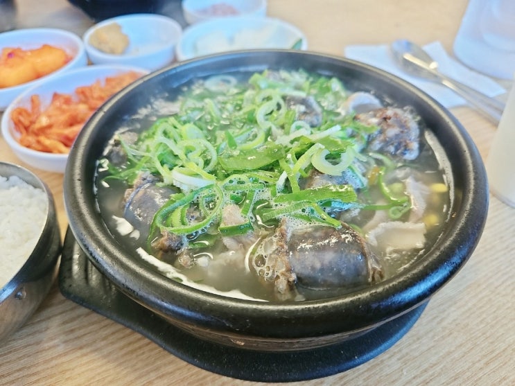 광주 근교 장성 황룡강 꽃구경과 축령산사랑가득국밥 후기