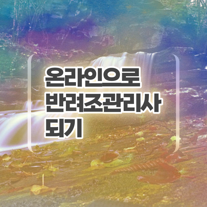  앵무새 지능 , 반려조관리사 자격증 온라인 교육으로 취득한 방법 총 정리