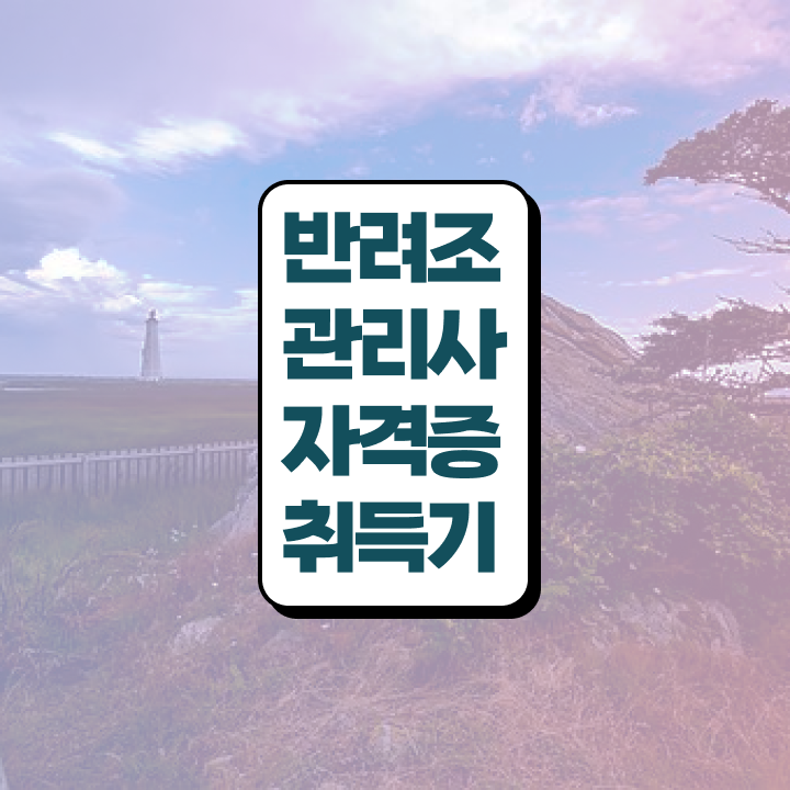  퀘이커 앵무새 , 반려조관리사 자격증 취득한 정보 요약
