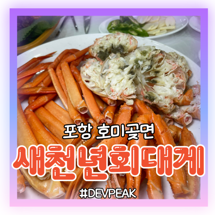  [포항 구룡포 호미곶 맛집] 포항의 핫플 호미곶에서, 푸짐한 스페셜 코스로 맛있는 회와 대게를 한번에? <새천년회대게> 리뷰