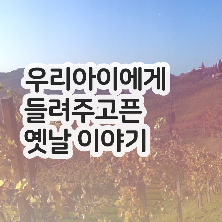  40대취업 , 독서지도사 자격증 단기간에 준비한 과정 , 이후 전망