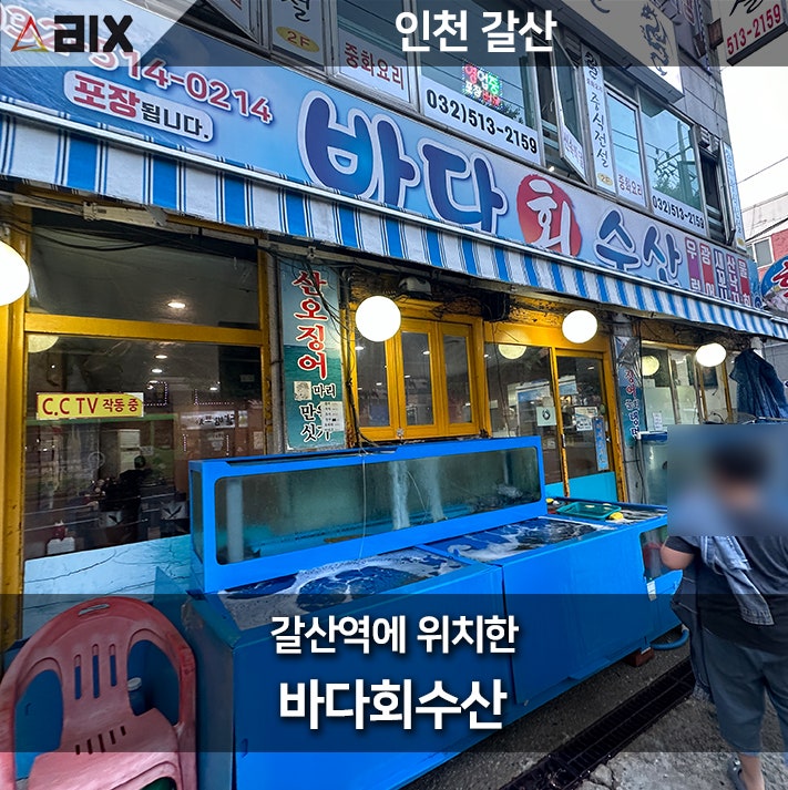  [갈산 횟집, 바다회수산] 갈산역 맛집에서 즐기는 신선한 물회와 해산물