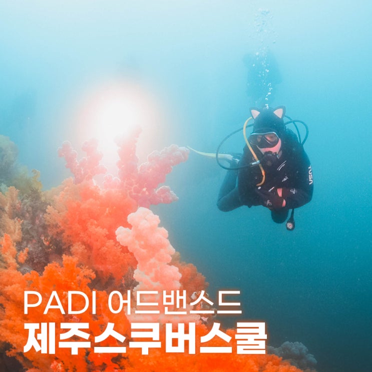 제주도스킨스쿠버 제주스쿠버스쿨 PADI 어드밴스드