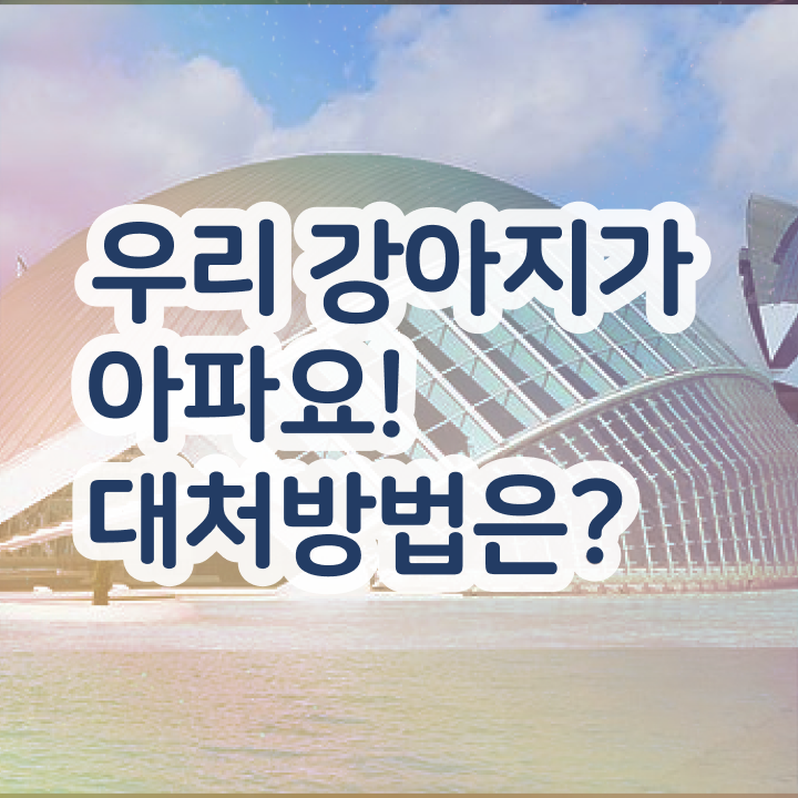  , 반려동물관리사 자격증 시험준비 확인하세요