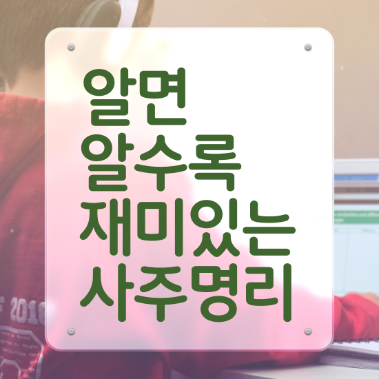  심리상담사전문교육 , 심리상담사 자격증 2주 만에 취득한 정보 및 취업정보