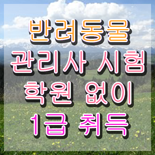  부산 반려동물 의료비 지원 , 반려동물관리사 자격증 취득한 과정 최신정보 공유