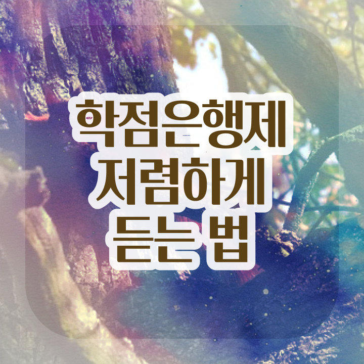  학점은행제 국가평생교육원 고민이시라고요