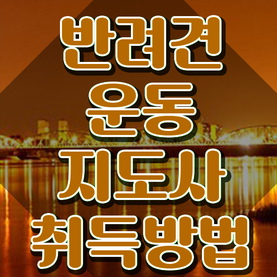  단기 자격증 추천 , 반려견운동지도사 인강만 듣고 독학으로 쉽게 준비한 방법