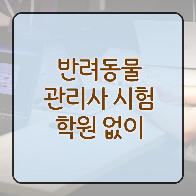  반려동물 자격증 공부 , 반려동물관리사 자격증 15일 만에 시험준비 , 구직정보