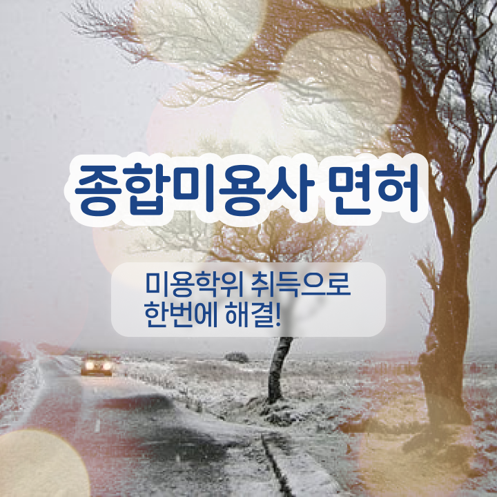  눈썹 반영구화장 , 반영구화장 준비 확인해야하는 면허증 및 방법