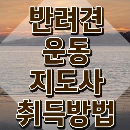  40대여성취업 , 관련학과 아니어도 반려견운동지도사 성공할 수 있어요