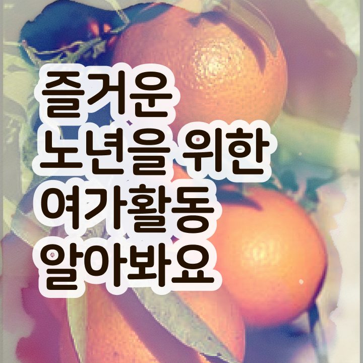  50대취업 노인여가활동지도사자격증 합격한 팁 및 온라인 강의