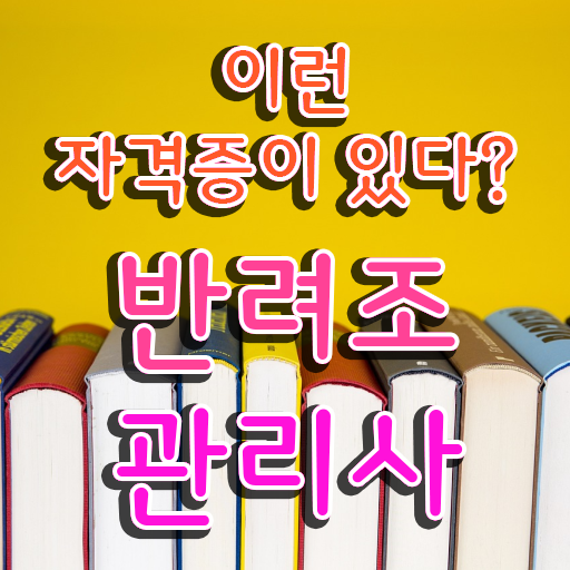  모란앵무 분양 , 반려조관리사 자격증 취득한 노하우 핵심 정보 가득