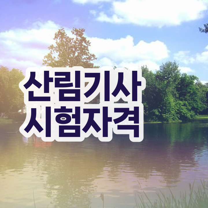  산림기사 작업형 산림기사 응시조건 집에서 온라인으로 쉽고 빠르게 끝낸 비법