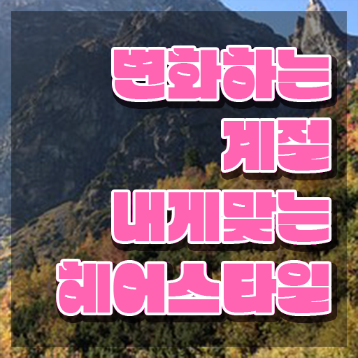  헤어미용자격증 , 커트지도사 자격증 응시자격 없이 합격한 팁 및 온라인 무료강의