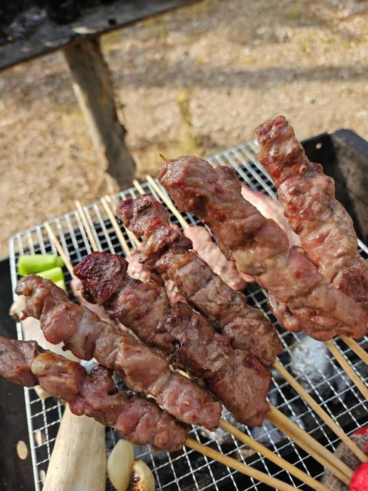  제제와 첫 캠핑 포천 바른양갈비 /양,숄더랙 양늑간살,양꼬치🏻