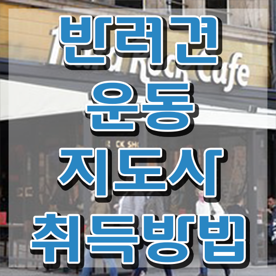  50대여자취업 반려견운동지도사 합격한 팁 및 주목받는 이유