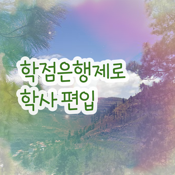  학점은행제수강 , 학은제 멘토 이 항목만 결정하세요