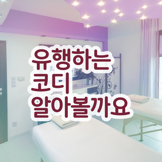  , 퍼스널컬러컨설턴트자격증 공부한 방법 및 인터넷 학습과정
